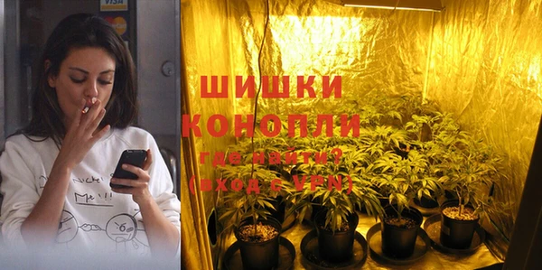 дживик Надым
