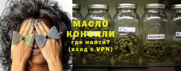 дживик Надым