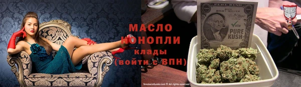 дживик Надым