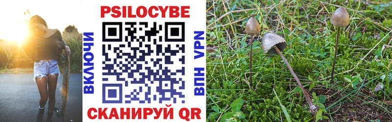 купить наркотик  Балашиха  Галлюциногенные грибы прущие грибы 
