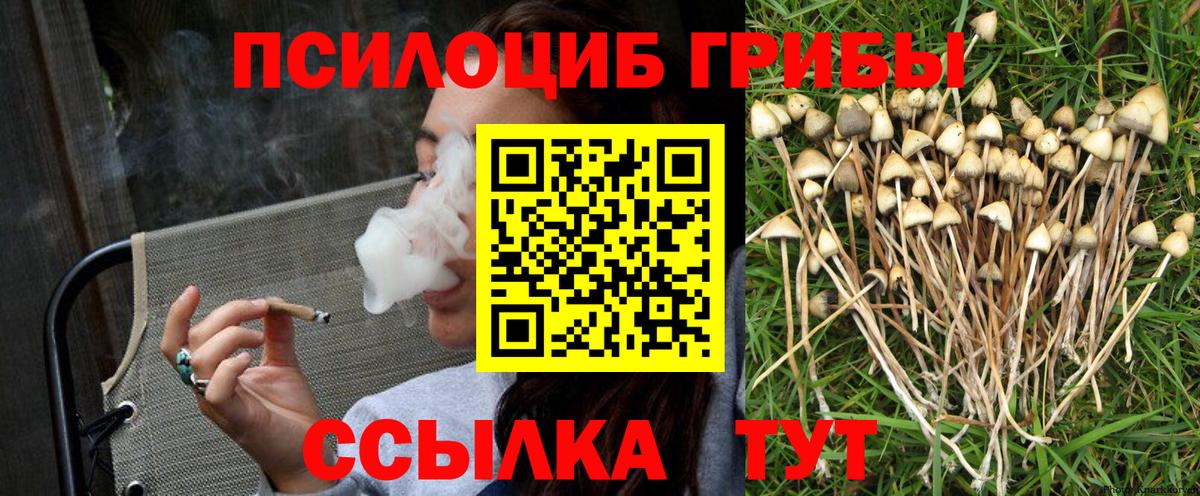Галлюциногенные грибы мицелий Балашиха
