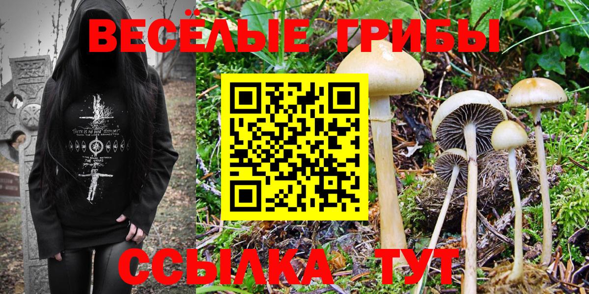 Псилоцибиновые грибы прущие грибы Балашиха