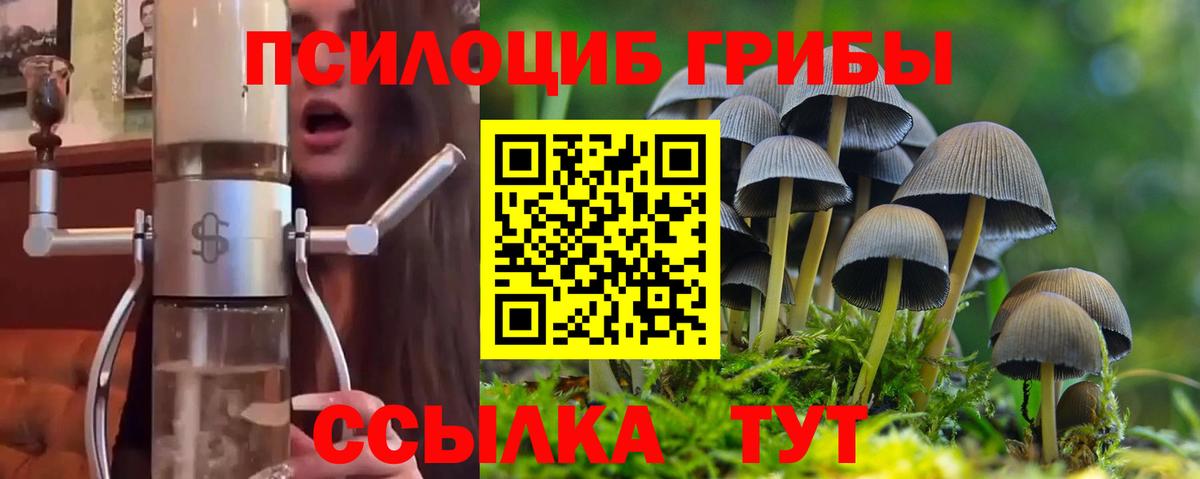 Псилоцибиновые грибы Cubensis  Вход с VPN  Балашиха 